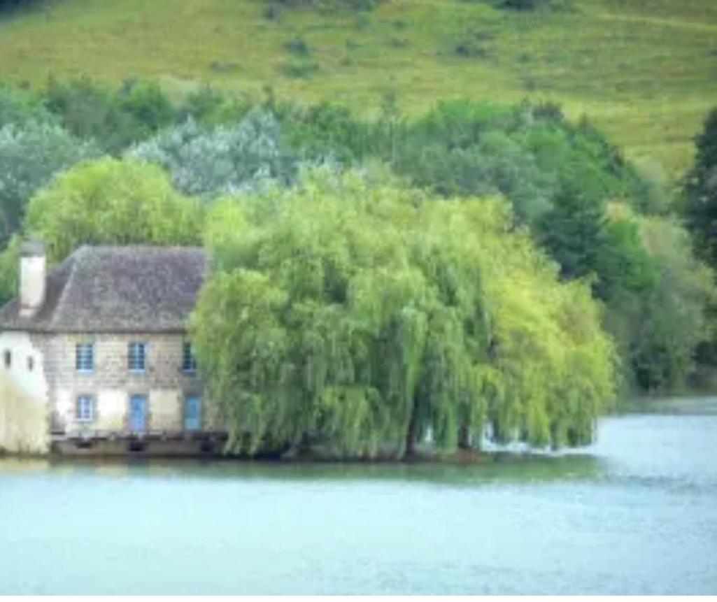 En Toute Quietude Lissac-sur-Couze Екстериор снимка