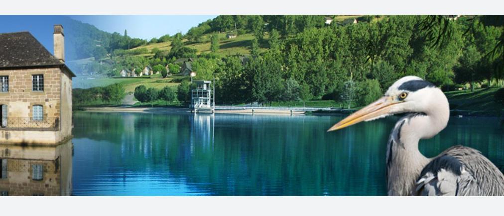 En Toute Quietude Lissac-sur-Couze Екстериор снимка